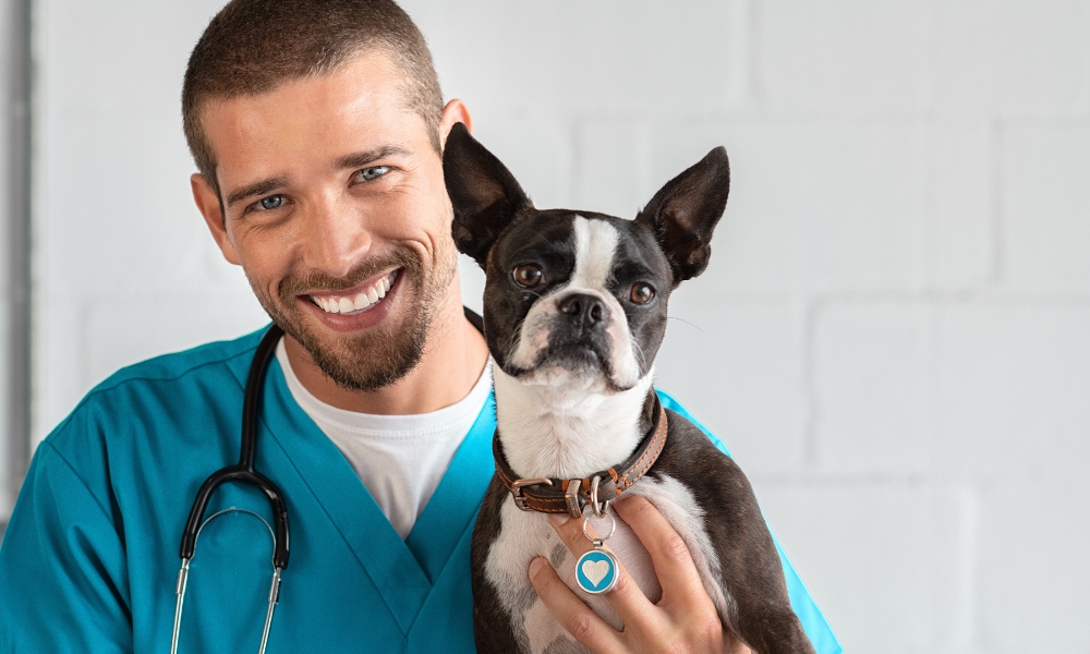 POSETA VETERINARU