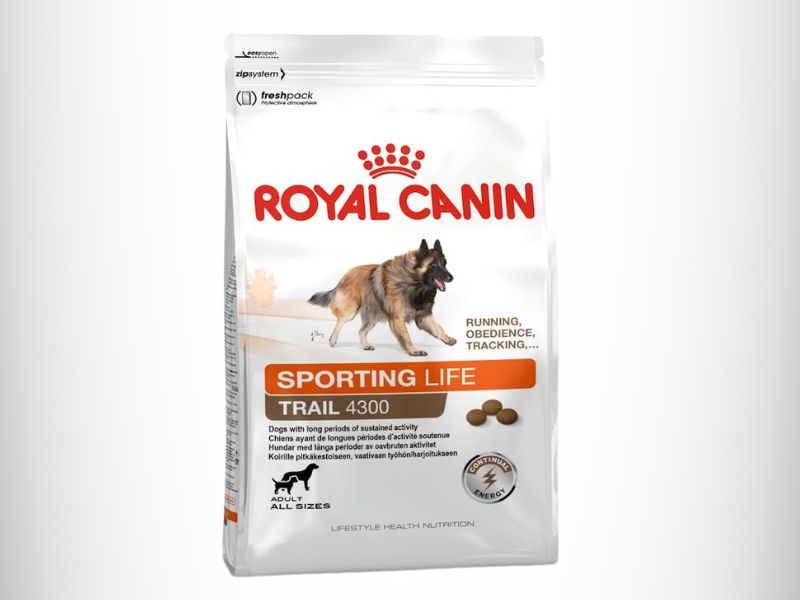 Royal Canin Sporting Life Energy Trail 4300 hrana za pse na sivoj pozadini