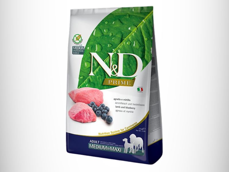 Lamb & Blueberry Adult Medium & Maxi hrana na sivoj pozadini